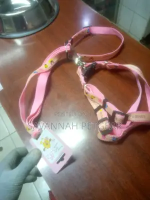 Dog Leashes and Collars for All Sizes of Dogs