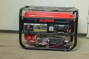 2.5kva Generator (Primo Italy) Key Start