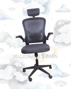 Grey Ergonomic Office Chair (Adjustable) — Hot Deal