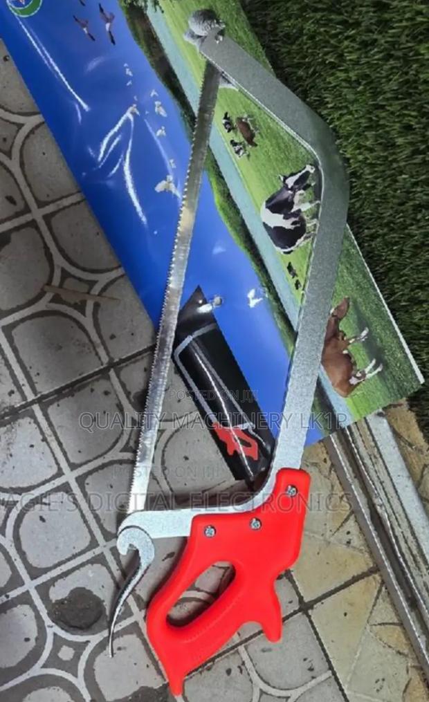 Best Quality Orange Meat Saw