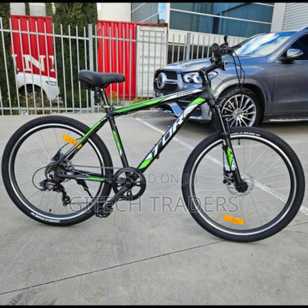 Mountain Bike