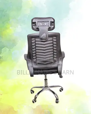 Imported Secretarial Mesh Chair | Padded Armrests