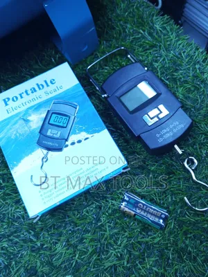 50kg Portable Scale/ Electronic Portable Scale