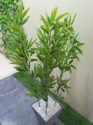 Artificial Plants Available