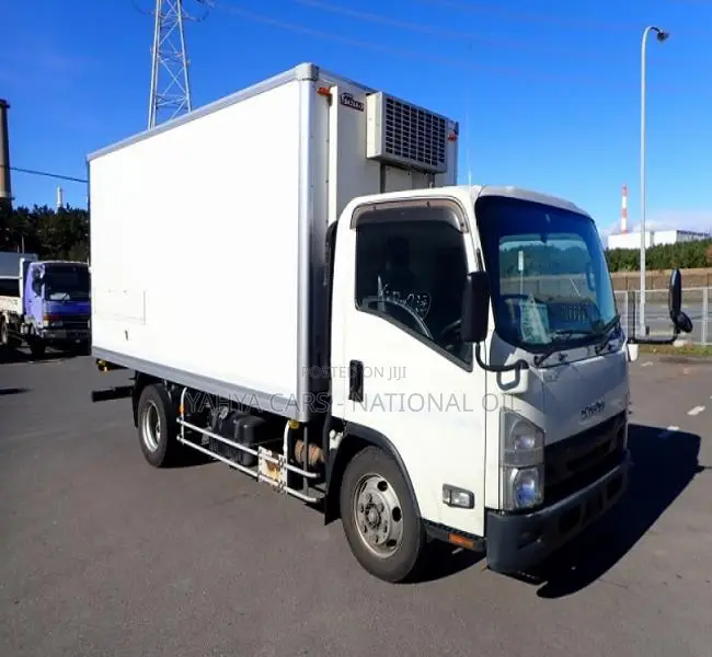 Isuzu Elf 2017 Freezer