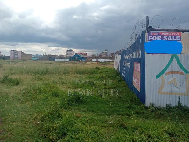 Prime Roadside Plot for Quick Sale! - thumbnail 4