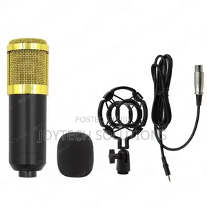 The Condenser Microphone Bm 800 for Video Making for Enhancing Sound