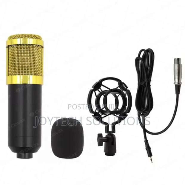 The Condenser Microphone Bm 800 for Video Making for Enhancing Sound - thumbnail 2