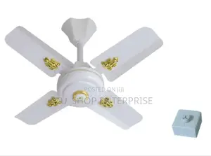 *Windsor Ceiling Fan 24"