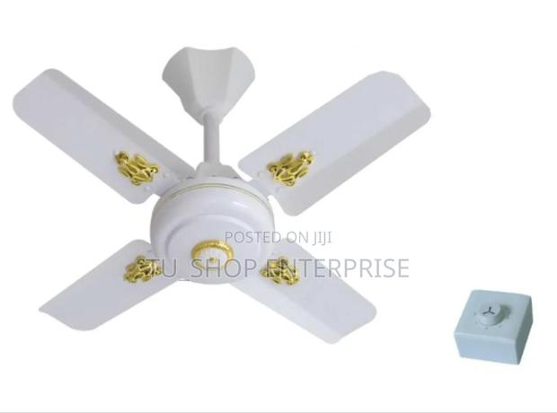 *Windsor Ceiling Fan 24"