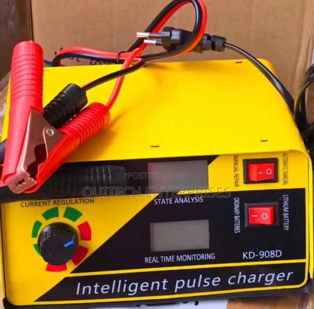 12/24v Smart Intelligent Pulse Charger - main view