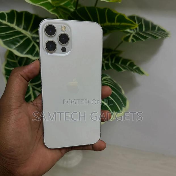 Apple iPhone 12 Pro Max 256 GB Gray - main view