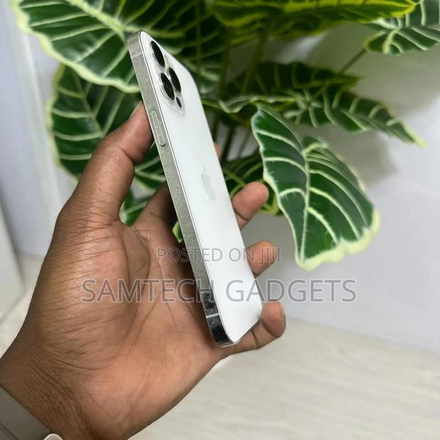 Apple iPhone 12 Pro Max 256 GB Gray - thumbnail 3