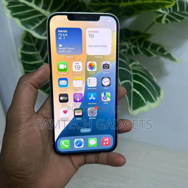 Apple iPhone 12 Pro Max 256 GB Gray - thumbnail 4