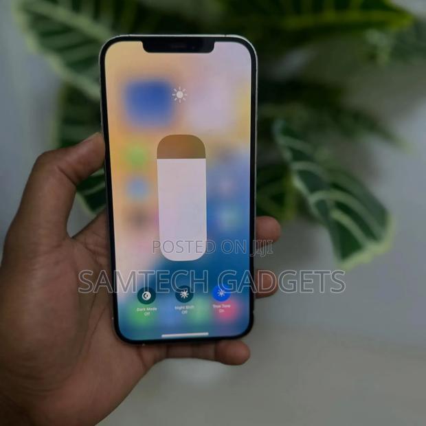 Apple iPhone 12 Pro Max 256 GB Gray - thumbnail 5