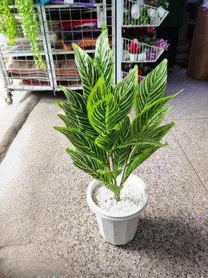 Faux Plant and Vase Plus Stones