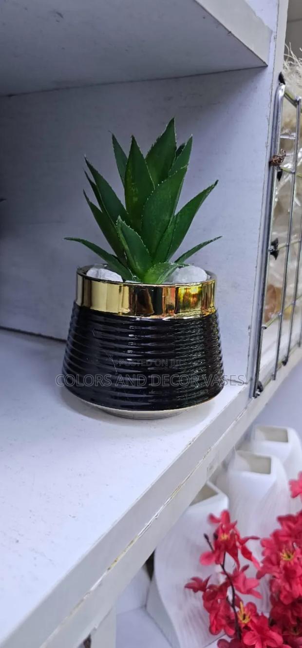 Black Succulent for Home Decor - main view