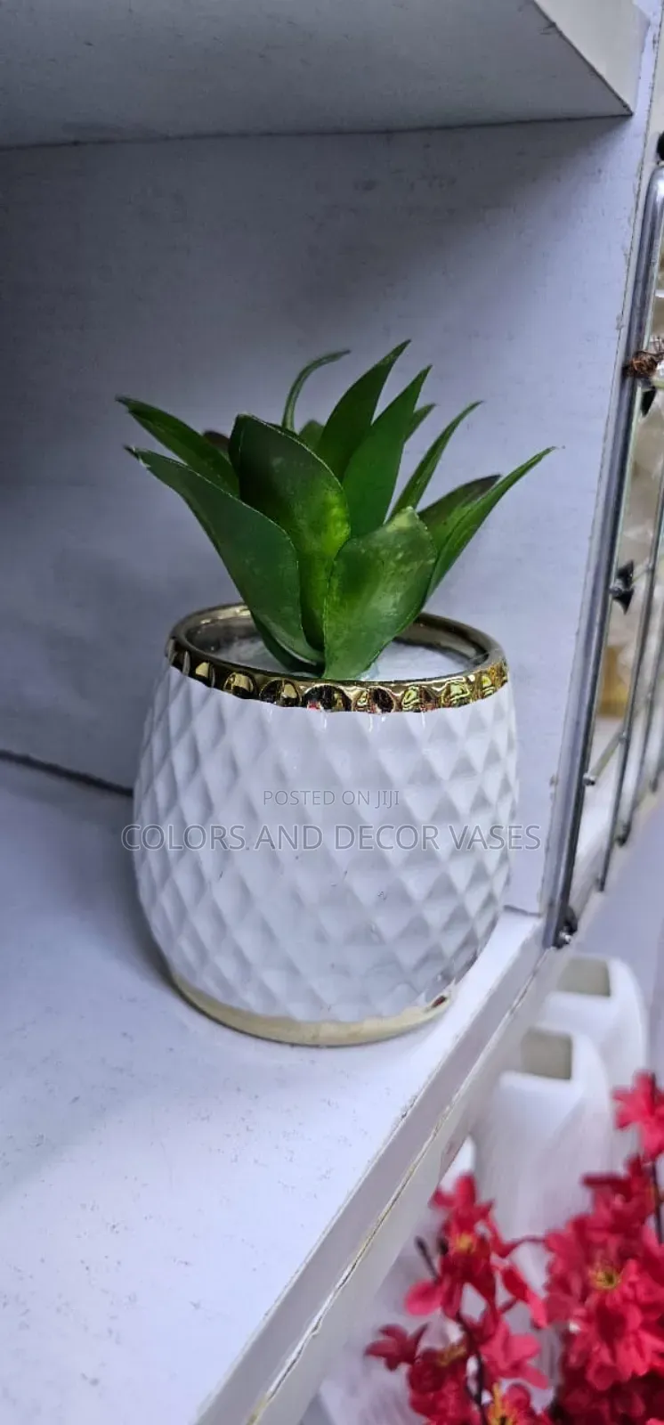Center Piece Succulents