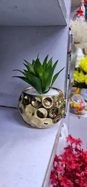 Gold Succulent Vase and Plant
