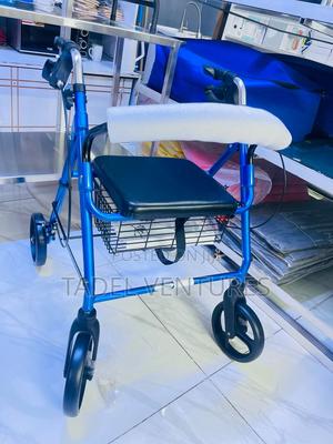 Rollator Walker - main view