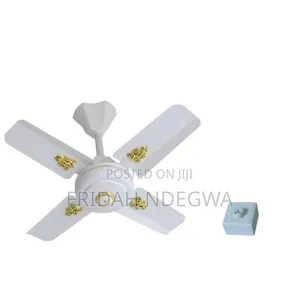 *Windsor Ceiling Fan 24"