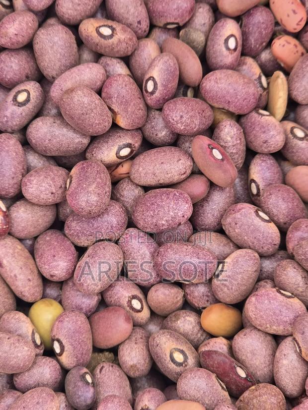 Agriculture and Farming ~ Beans. - thumbnail 3
