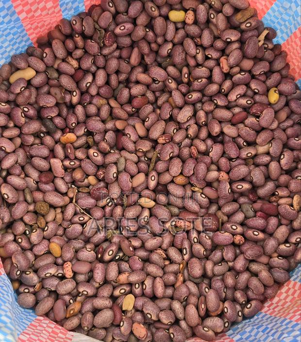 Agriculture and Farming ~ Beans. - thumbnail 4