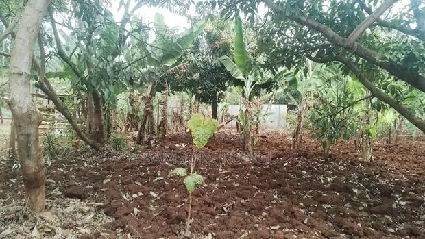 Plot for Sale - main view