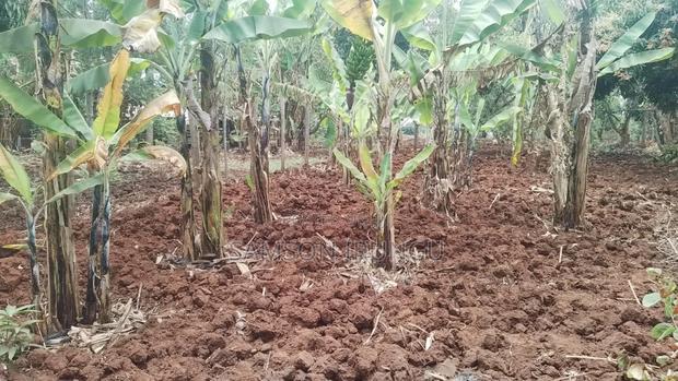 Plot for Sale - thumbnail 5