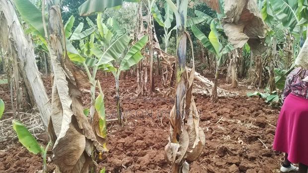 Plot for Sale - thumbnail 7