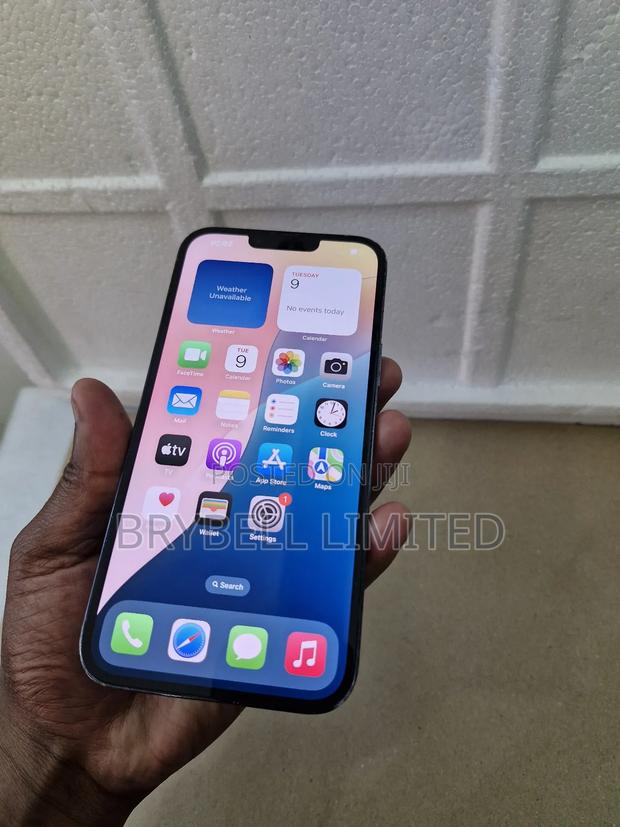 Apple iPhone 13 Pro Max 256 GB Blue - thumbnail 3