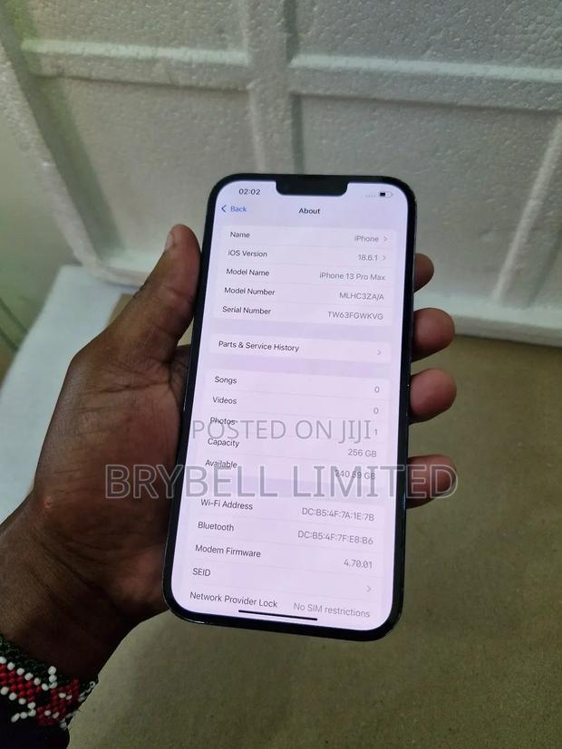 Apple iPhone 13 Pro Max 256 GB Blue - thumbnail 4