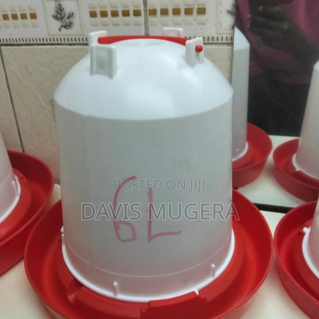 Poultry Waterer, Chicken Drinker - 6 Litres Capacity - main view