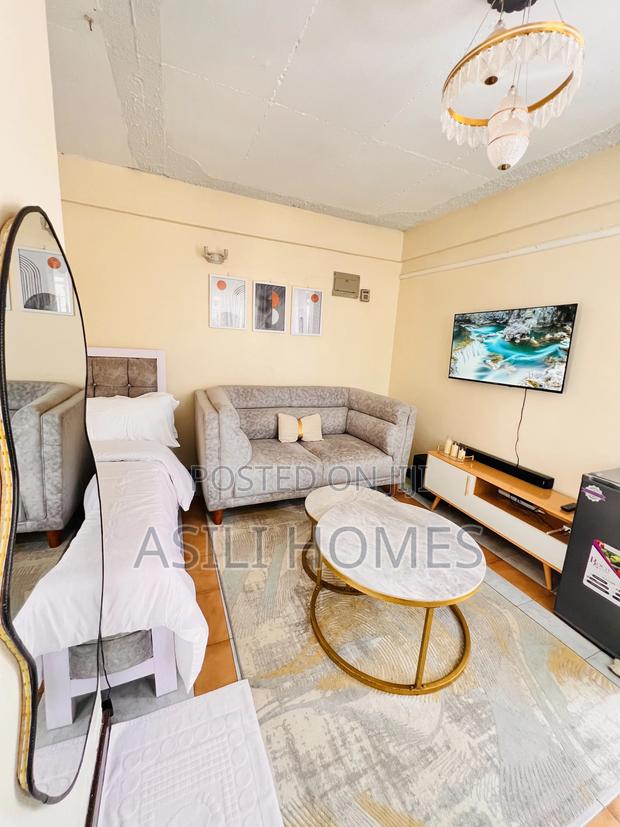 Studio Airbnb in Roysambu,Lumumba Drive - thumbnail 2