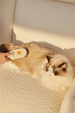 Electric Spray Pet Massage Comb for Grooming Cats