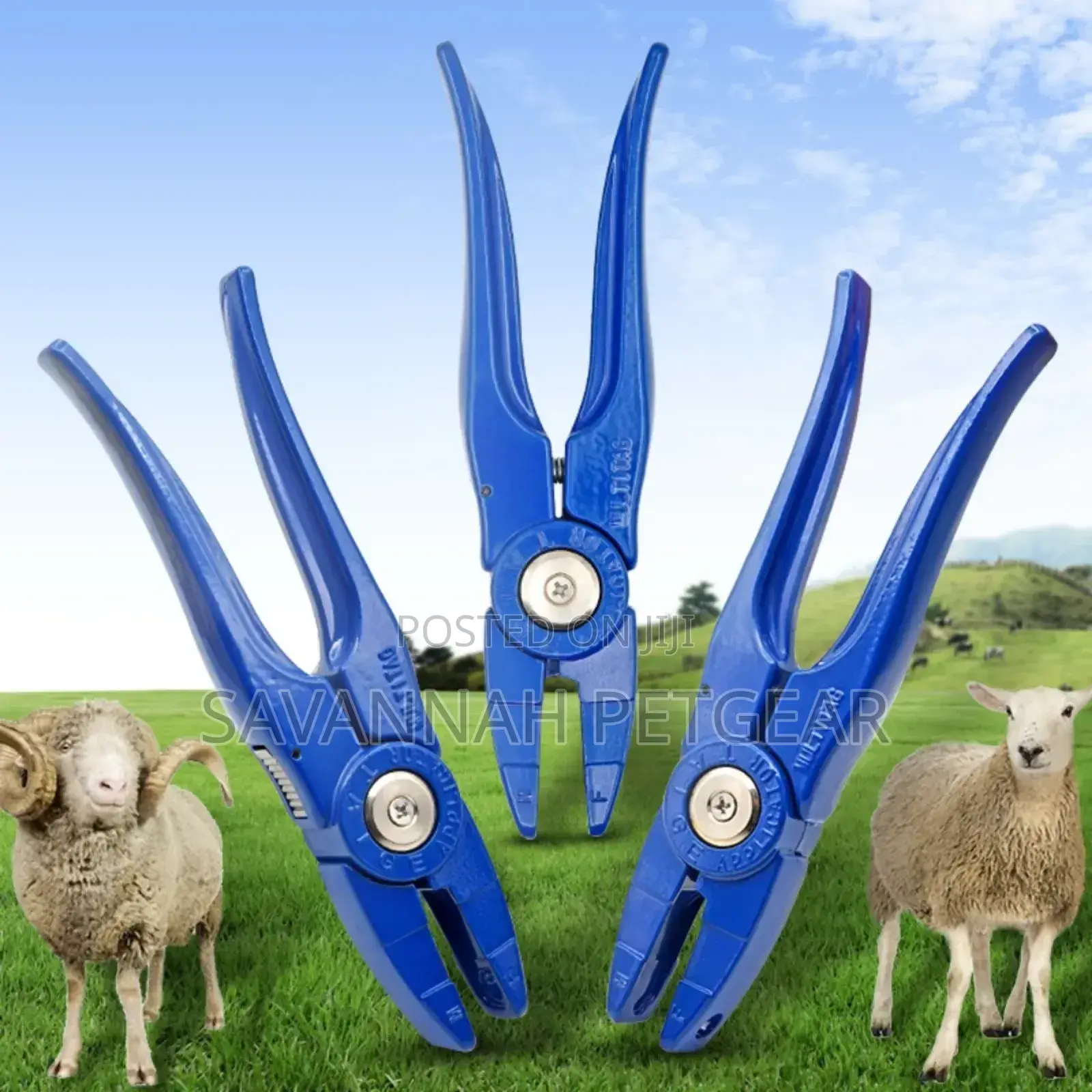 Professional Ear Tag Applicator for Goat Sheep One-Piece Ear Tags