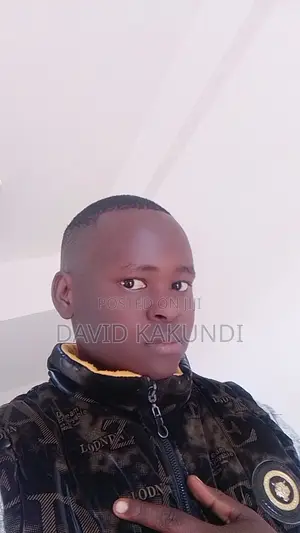 Sales and Marketing Agent