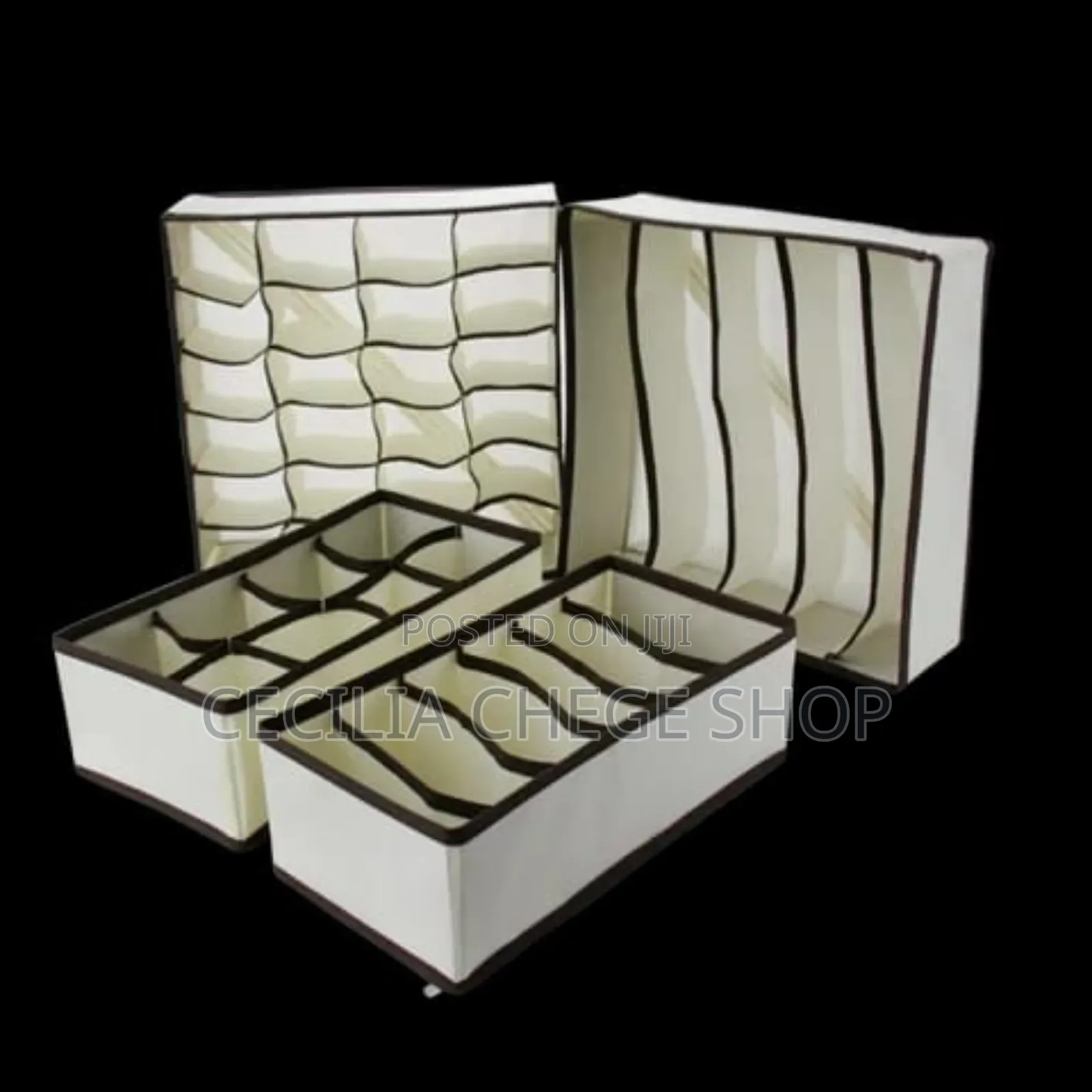 Undergarment Organizer