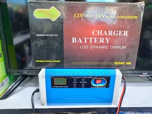 Battery Charger 12v - 24v Auto Conversion