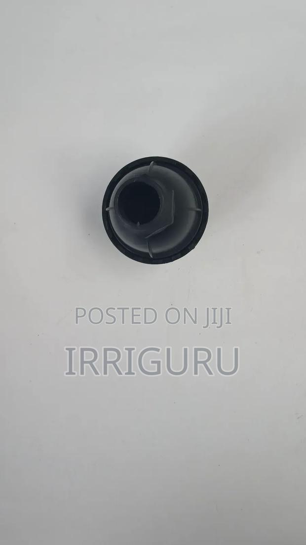 Egg Sprinklers - main view