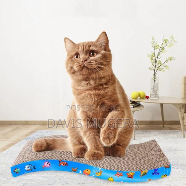 Kitten Cat Scratching Board Cat Scratching Toy - main view