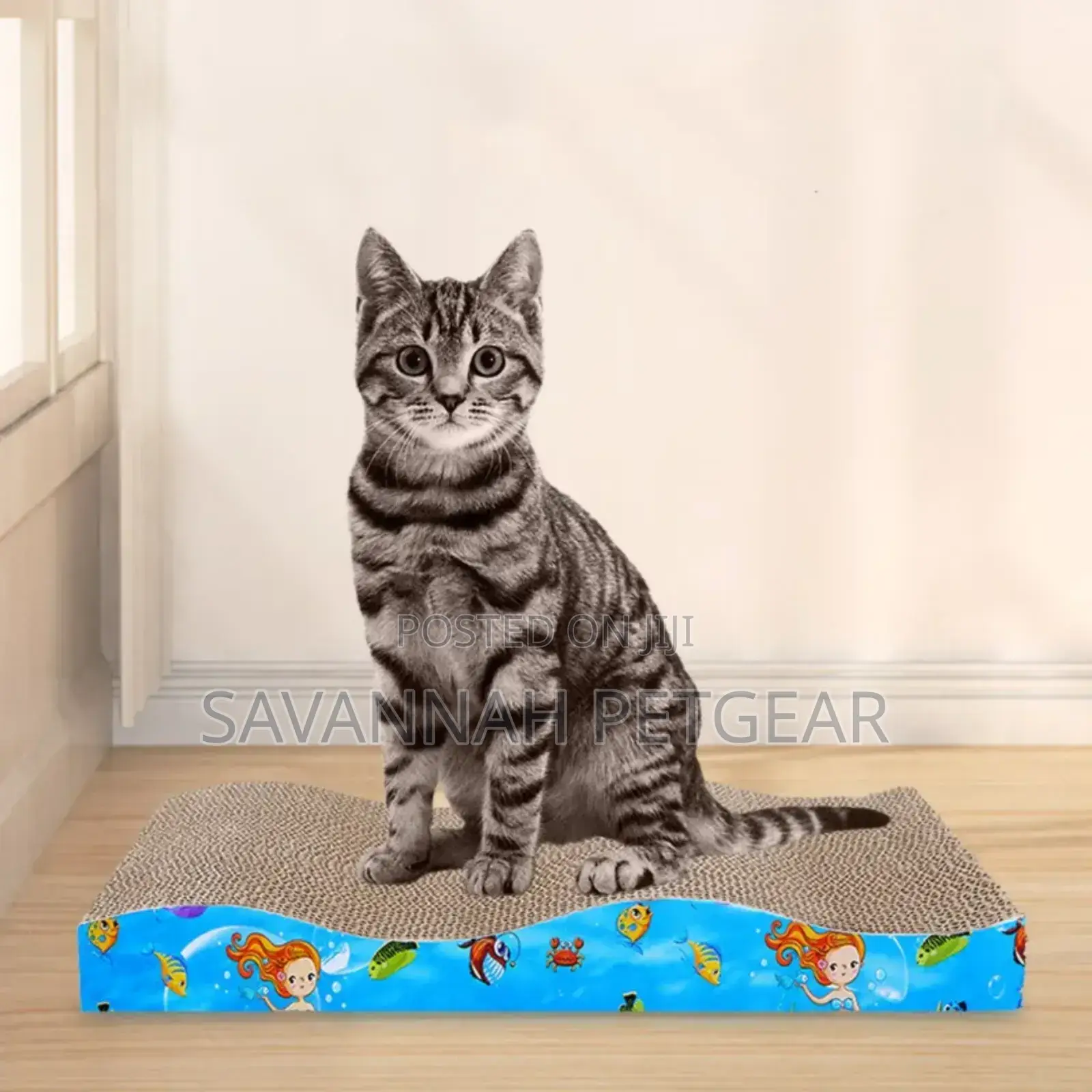 Kitten Cat Scratching Board Cat Scratching Toy
