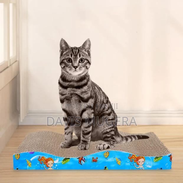 Kitten Cat Scratching Board Cat Scratching Toy - thumbnail 3
