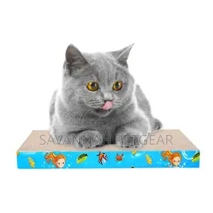 Kitten Cat Scratching Board Cat Scratching Toy