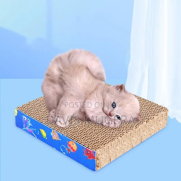 Kitten Cat Scratching Board Cat Scratching Toy - thumbnail 5