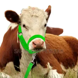 Cow Horse Riding Halters (Adjustable Livestock Nylon)