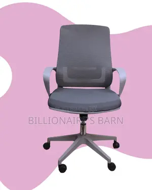 Grey Ergonomic Mesh Office Chair (Imported) — Limited Stock