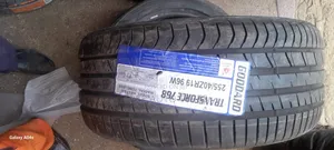 255 45r19 Goodard