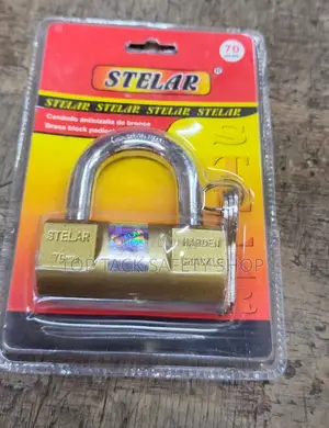 Stella Heavy-Duty Padlock