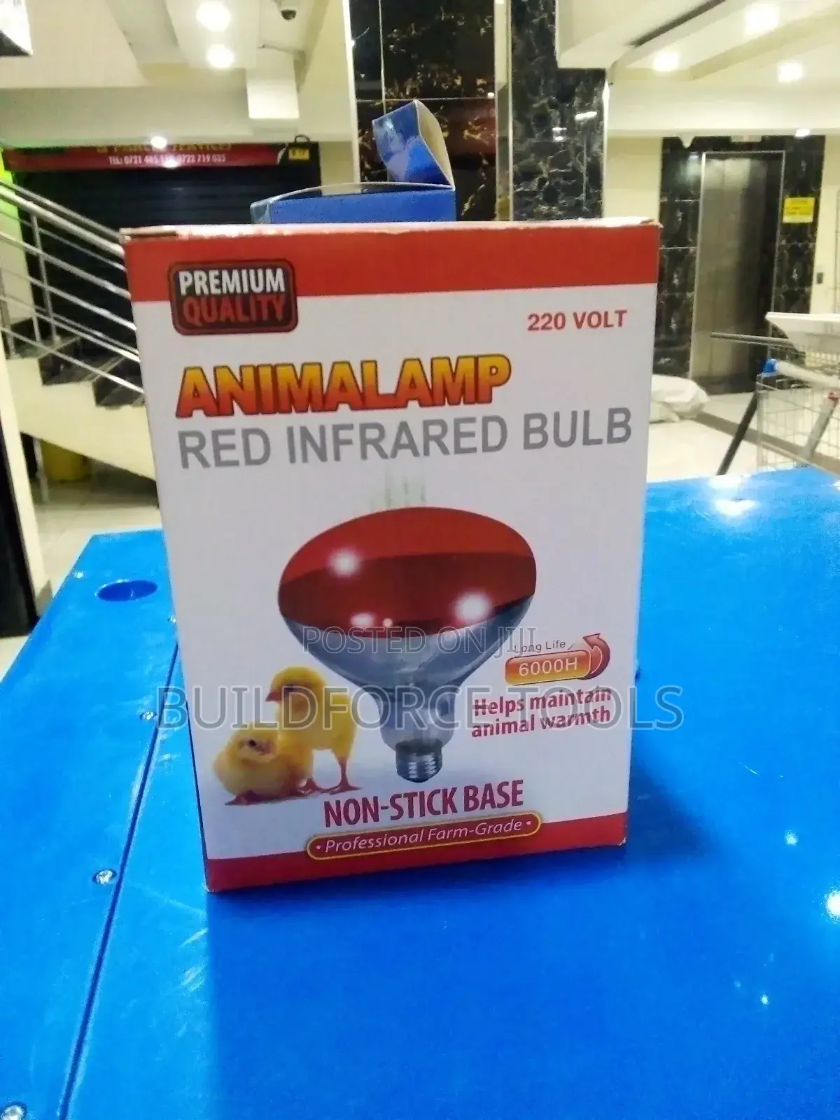 Animal Lamp Red Infrared Chicken Bulb